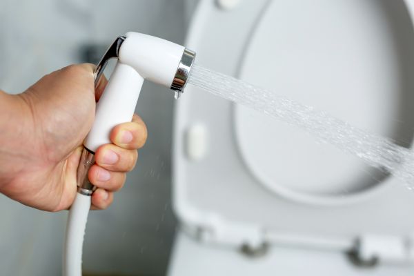 Cost of Bidet Installation in Lebanon