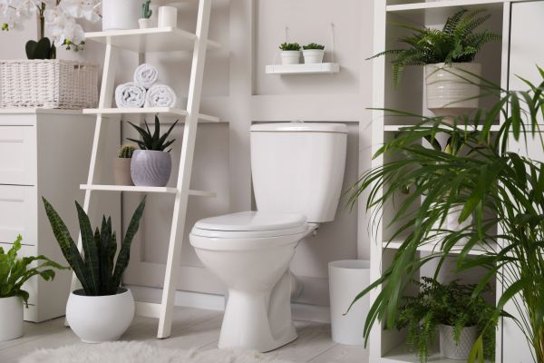 Cost of Toilet Repair in Lebanon