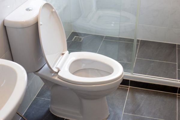 Cost of Toilet Replacement in Lebanon