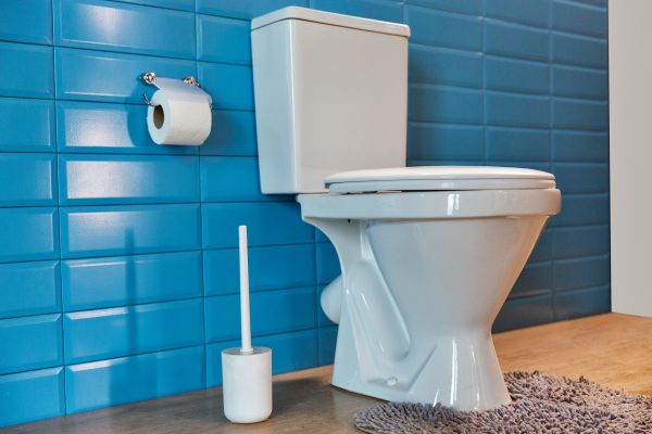 Cost of Toilet Tank Repair in Lebanon