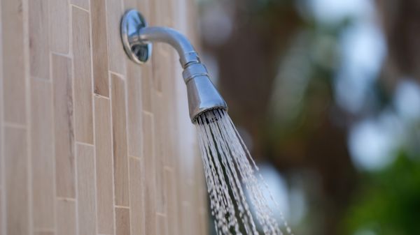 Cost of Showerhead Repair in Lebanon