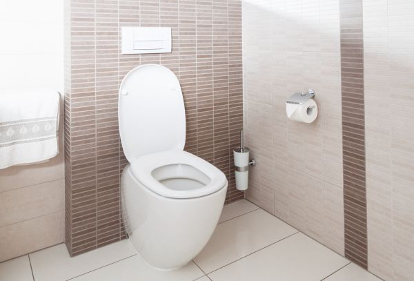 Cost of Toilet Plumbing Installation in Lebanon